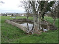 Cart pond on the hill?