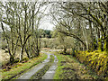NR8689 : Road heading north beyond Lochgilphead by Trevor Littlewood