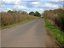 ST5063 : New Road by Thomas Nugent