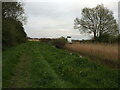 Footpath next to a Rhyne