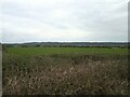 Field near Locking Moor Road