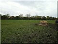 Field near Locking Moor Road