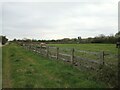 Farm track off Locking Moor Road