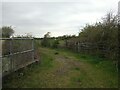 Farm track off Locking Moor Road