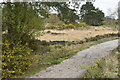 Path at Great Barrow