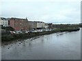 C4316 : The west bank of the Foyle, Derry / Londonderry by Christine Johnstone