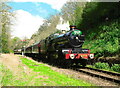SO7875 : 4079 Pendennis Castle at the S.V.R Spring Steam Gala by Roy Hughes