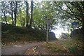 St Neot : Country Lane