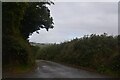 Dobwalls : Country Lane