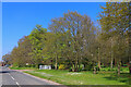 Road in Freethorpe