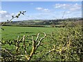 Arable land above the Wear Valley at Great Lumley