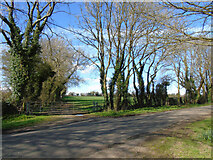 ST5164 : Field off Kingdown Road by Thomas Nugent