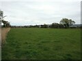 Field near Locking Moor Road