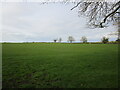 TL1590 : Grass field near Folksworth by Jonathan Thacker