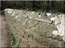 ST6176 : Keeping the coping stones on by Neil Owen