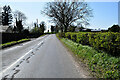 Moylagh Road, Seskinore