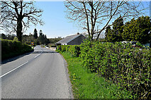 H4963 : Moylagh Road, Seskinore by Kenneth  Allen