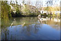 Pond in Moreton-in-Marsh