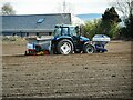 Potato planting