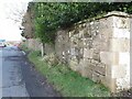 Boundary Wall,Crawley House, Springfield