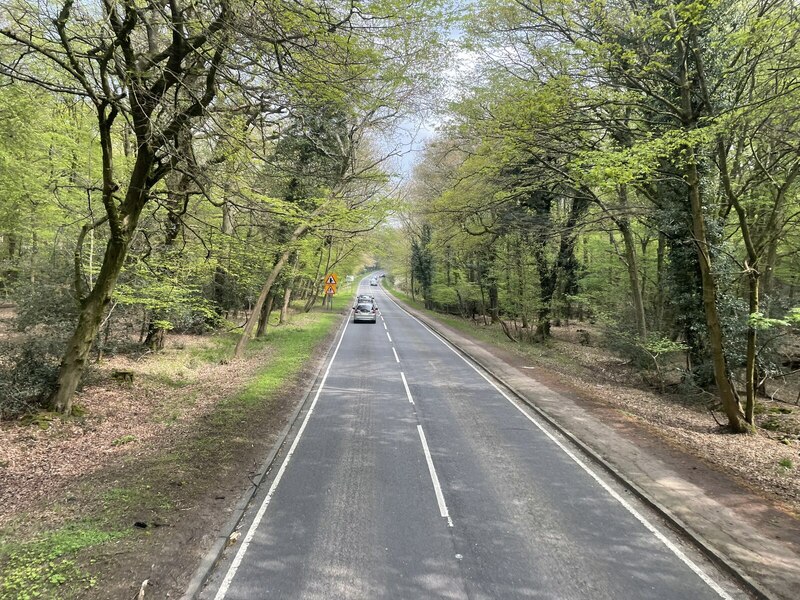 Epping Road, through Epping Forest © Nigel Thompson cc-by-sa/2.0 ...