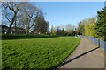 Evening sunshine in Hull Road Park