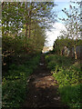 The path between Spen Beck and Union Road, Liversedge