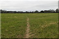 Footpath across field