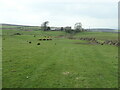 The upper valley of Catlow Gill