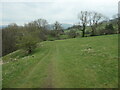 Public footpath on the south side of Catlow Gill