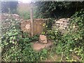 SP0207 : Stone Stile, North Cerney by Jayne Tovey
