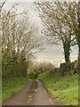 Lane leading to disused quarry