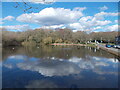 Mere Pond, Walton on the Hill