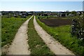 Allotments in Moreton-in-Marsh