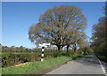 Cuckoo Lane, North Leigh