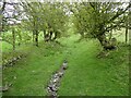 Old upland droveway near Llanarmon-Mynydd-Mawr