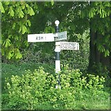 TR3058 : Direction Sign - Signpost near Goss Hall by D Glover