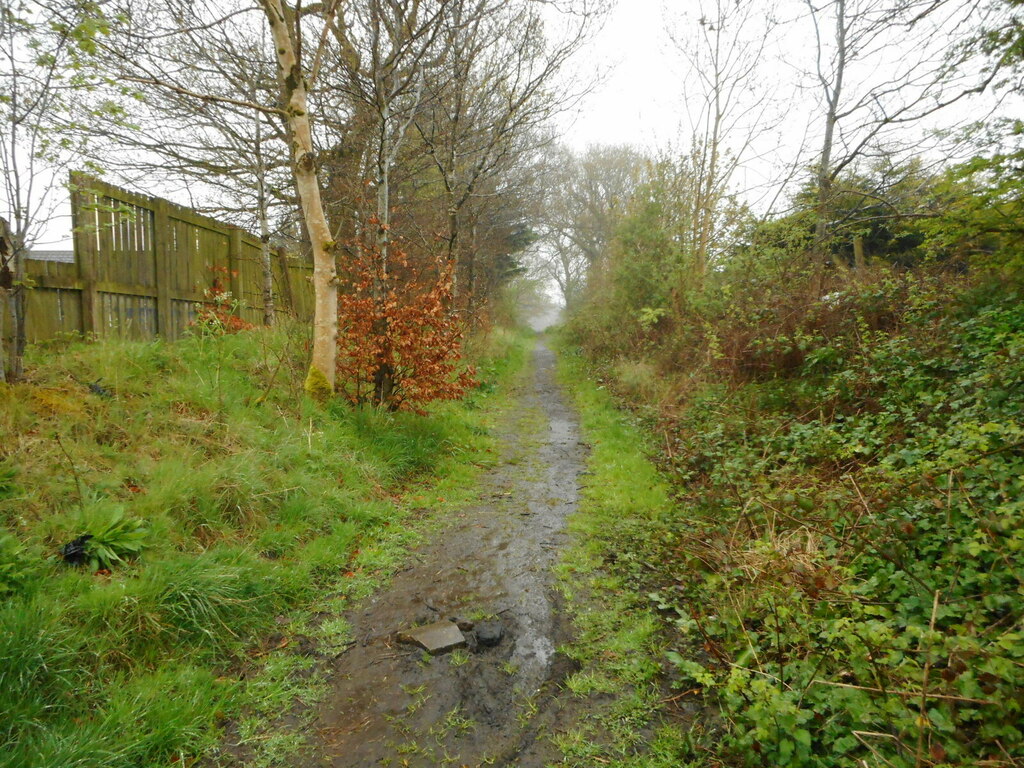 track-just-off-grahamston-road-richard-sutcliffe-cc-by-sa-2-0