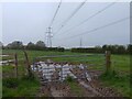 ST5290 : Field with pylons south of Mathern by Oscar Taylor