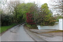 SO5316 : The road to Lewstone, Ganarew by David Howard
