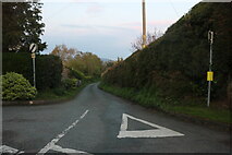 SO5622 : Boat Lane, Glewstone by David Howard