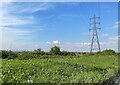 ST2176 : Powerlines - Pengam Moor by Mr Ignavy