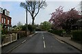 SE3635 : Church Lane, Manston by Chris Heaton