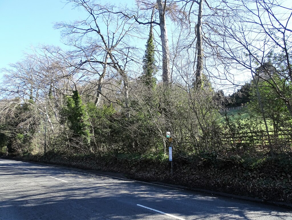 rather-isolated-bus-stop-robert-graham-cc-by-sa-2-0-geograph