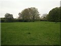 ST3759 : Parklands Arboretum on the former RAF Locking  by Sofia 