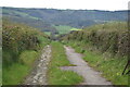 Farm track into the Taw Valley