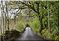 Minor road on eastern side of Ullswater