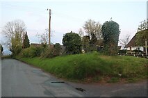 SO5622 : Glewstone village by David Howard