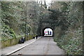 Reigate Tunnel