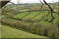 Valley at Newmills